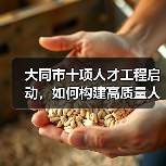 大同市十项人才工程启动,如何构建高质量人才梯队?(图2) 大同市十项人才工程启动,如何构建高质量人才梯队?(图2)