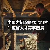 中国为何降低绿卡门槛？破解人才赤字困局（图4）