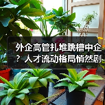 外企高管扎堆跳槽中企?人才流动格局悄然剧变(图2) 外企高管扎堆跳槽中企?人才流动格局悄然剧变(图2)