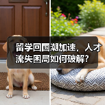 留学回国潮加速,人才流失困局如何破解?(图3) 留学回国潮加速,人才流失困局如何破解?(图3)