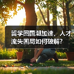 留学回国潮加速,人才流失困局如何破解?(图4) 留学回国潮加速,人才流失困局如何破解?(图4)