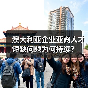 澳大利亚企业亚裔人才短缺问题为何持续?(图3) 澳大利亚企业亚裔人才短缺问题为何持续?(图3)