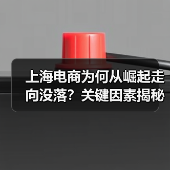 上海电商为何从崛起走向没落?关键因素揭秘(图1) 上海电商为何从崛起走向没落?关键因素揭秘(图1)