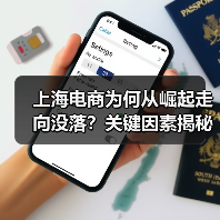 上海电商为何从崛起走向没落?关键因素揭秘(图3) 上海电商为何从崛起走向没落?关键因素揭秘(图3)