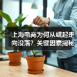 上海电商为何从崛起走向没落?关键因素揭秘(图4) 上海电商为何从崛起走向没落?关键因素揭秘(图4)