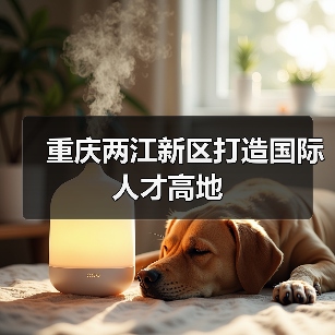 重庆两江新区打造国际人才高地（图1）