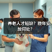 养老人才短缺?晚年安放何处?(图2) 养老人才短缺?晚年安放何处?(图2)