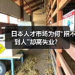 日本人才市场为何