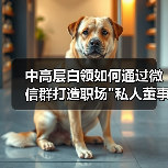 中高层白领如何通过微信群打造职场 中高层白领如何通过微信群打造职场