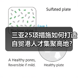 三亚25项措施如何打造自贸港人才集聚高地？（图2）