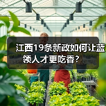 江西19条新政如何让蓝领人才更吃香?(图2) 江西19条新政如何让蓝领人才更吃香?(图2)