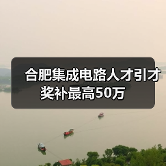 合肥集成电路人才引才奖补最高50万(图4) 合肥集成电路人才引才奖补最高50万(图4)