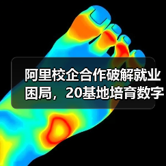 阿里校企合作破解就业困局,20基地培育数字人才(图2) 阿里校企合作破解就业困局,20基地培育数字人才(图2)
