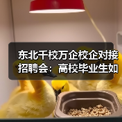 东北千校万企校企对接招聘会：高校毕业生如何高效就业？（图4）