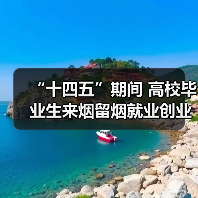 “十四五”期间 高校毕业生来烟留烟就业创业达31.5万（图3）