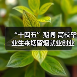 “十四五”期间 高校毕业生来烟留烟就业创业达31.5万（图4）