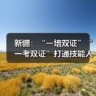 新疆:“一培双证”“一考双证”打通技能人才就业快车(图1) 新疆:“一培双证”“一考双证”打通技能人才就业快车(图1)