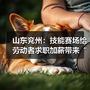 山东兖州:技能赛场给劳动者求职加薪带来“硬通货”(图1) 山东兖州:技能赛场给劳动者求职加薪带来“硬通货”(图1)