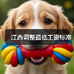 江西调整最低工资标准(图3) 江西调整最低工资标准(图3)