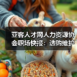 亚客人才网人力资源协会职场快报：选购维护与常见问题解析